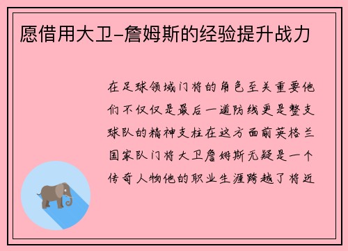 愿借用大卫-詹姆斯的经验提升战力